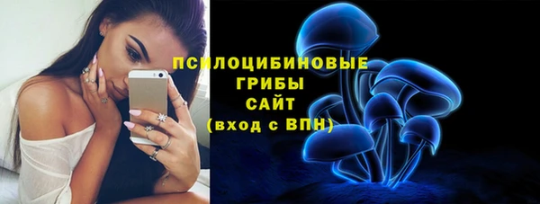 a pvp Лиски