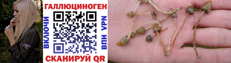 Галлюциногенные грибы прущие грибы  Сычёвка 